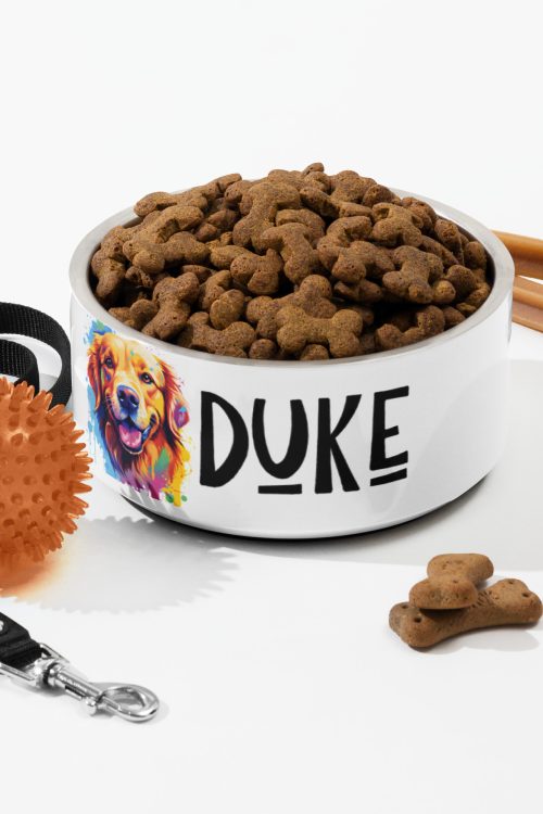 Custom Colorful Pet Bowl
