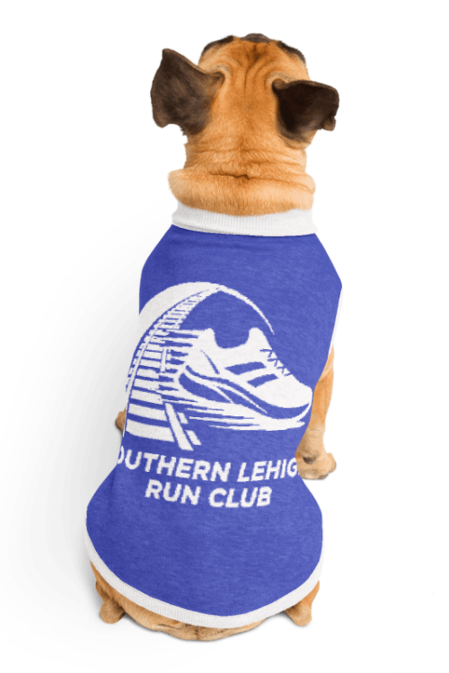 SLRC Knitted pet sweater